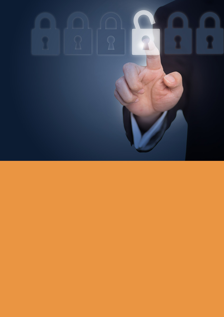 Cursos gratuito de internet seguro en Burgos. Por UNIPEC y AFALVI